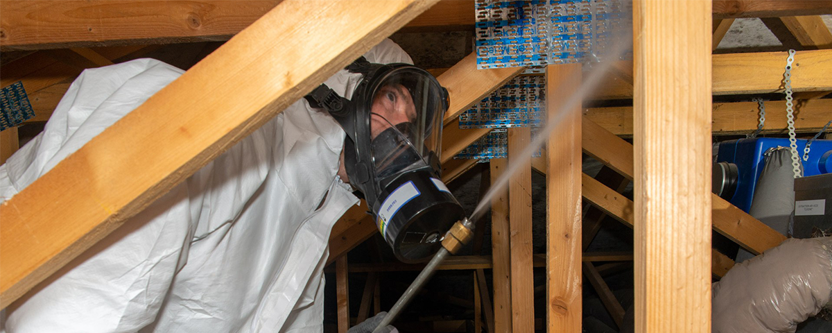 traitement experia renovation 3